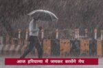 Haryana heavy rain news