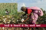 रेवाड़ी के किसानों के लिए बड़ा अलर्ट