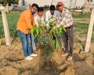 अरावली किसान क्लब ने चलाया पौधारोपण अभियान