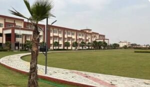 रेवाड़ी: किसानों को मिलेगा सरसों का उत्तम किस्म का बीज, जानिए कहां से खरीदें