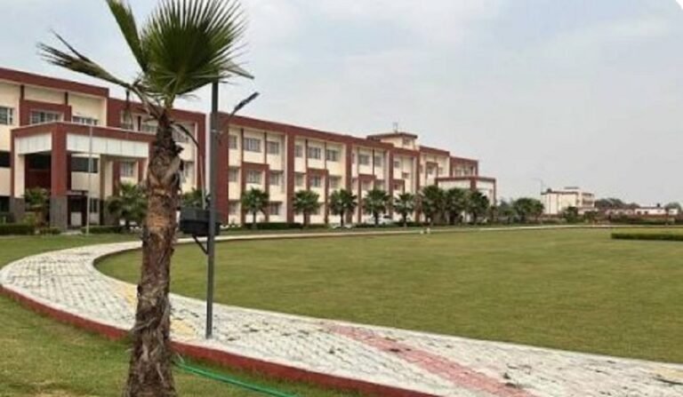 रेवाड़ी: किसानों को मिलेगा सरसों का उत्तम किस्म का बीज, जानिए कहां से खरीदें