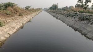 रेवाड़ी नहर में मिला नवजात का शव, मची अफरा तफरी!