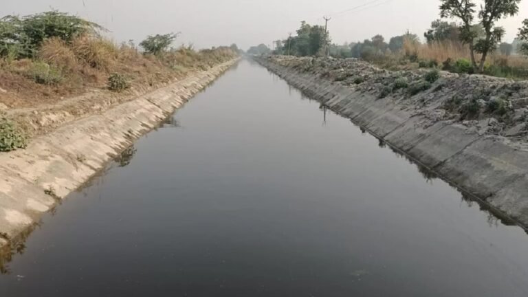 रेवाड़ी नहर में मिला नवजात का शव, मची अफरा तफरी!
