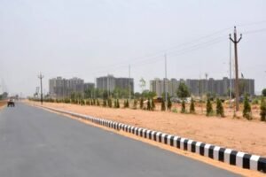 धारूहेड़ा: कापड़ीवास भिवाड़ी पैराफेरी मार्ग पर हुआ हादसा: लॉ स्टूडेंट को वाहन ने कुचला