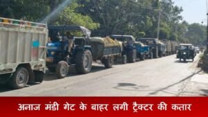 रेवाड़ी अनाज मंडी: आज किन गांवों के किसान बेच सकते बाजरा, पढ़ें शेड्यूल