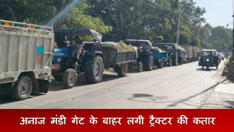 रेवाड़ी अनाज मंडी: आज किन गांवों के किसान बेच सकते बाजरा, पढ़ें शेड्यूल
