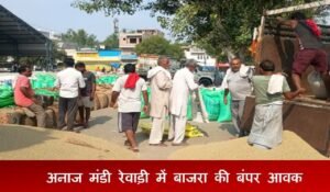 नई अनाज मंडी रेवाड़ी में बाजरा की बंपर आवक, उठान धीमी से लगा जाम, यहां पढ़ें बाजरा शेड्यूल