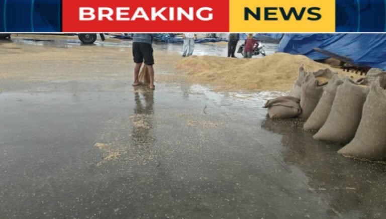 हरियाणा में मौसम बदला: प्रशासन के इंतजामों की खुली पोल ? अचानक बारिश से मंडियों में भीगा धान