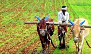 प्राकृतिक खेती को बढ़ावा देने के लिए हरियाणा सरकार की नई योजना, यहां पढें अपडेट