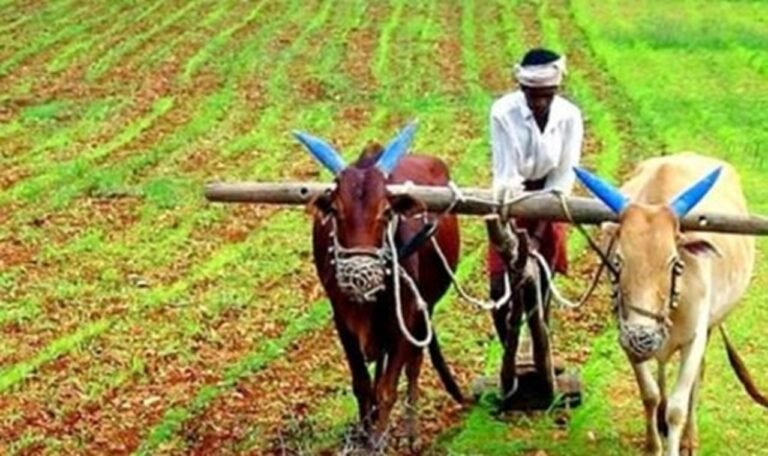 प्राकृतिक खेती को बढ़ावा देने के लिए हरियाणा सरकार की नई योजना, यहां पढें अपडेट