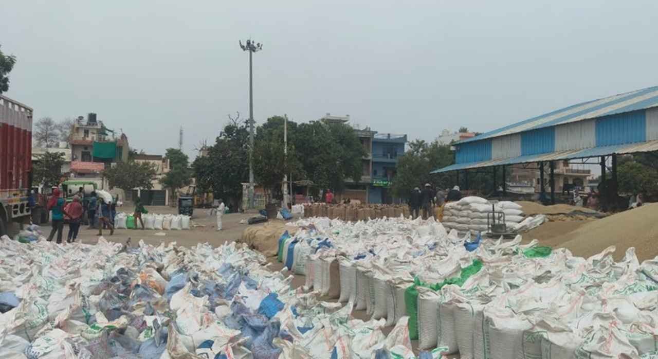 रेवाड़ी मंडी में बाजरा बेचने पहुंचे किसान परेशान, टोकन के लिए डेढ़ घंटे का इंतजार