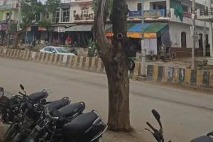 धारूहेड़ा: सूखे पेड़ से बाइक सवार टकराया, दो माह में पांचवा हादसा