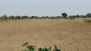 हरियाणा में बदलने लगा मौसम रेवाड़ी में पारा 15 डिग्री पर पहुंचा नवंबर में बढ़ेगी सर्दी